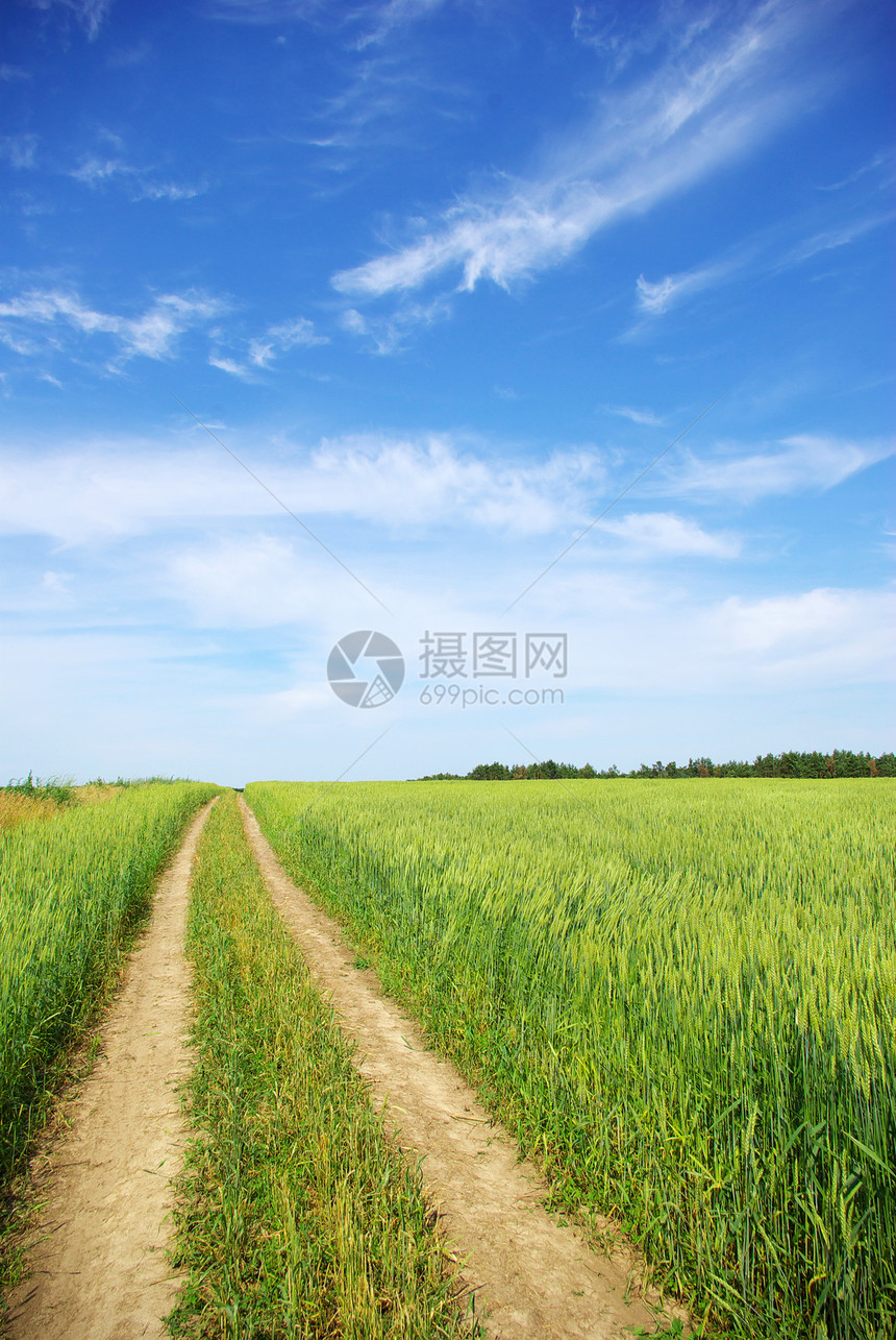 草地场地全景绿色天空阳光乡村风景远景土地牧场图片