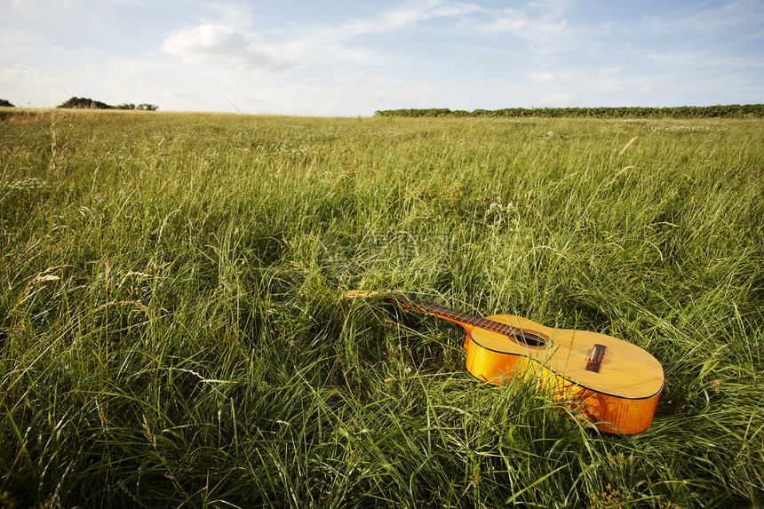 木琴吉他躺在草地上图片