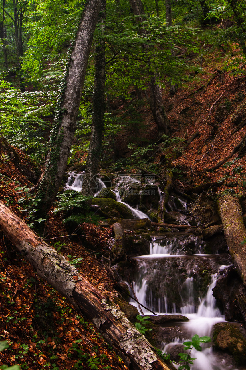 森林瓦塔瀑布 乌克兰克里米亚图片