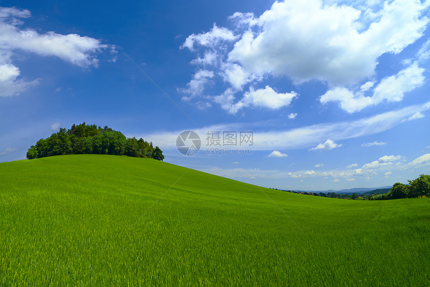 绿野土地场景森林小麦滚动地平线天空爬坡蓝色环境图片