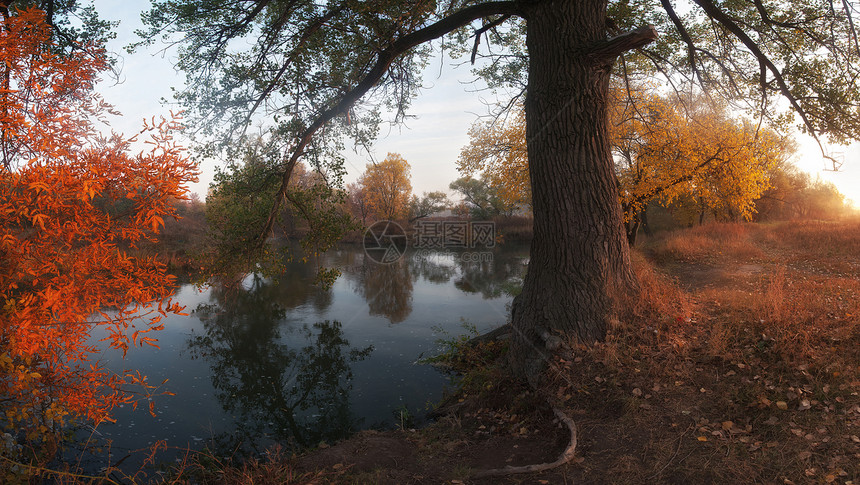 秋季风景河流图片