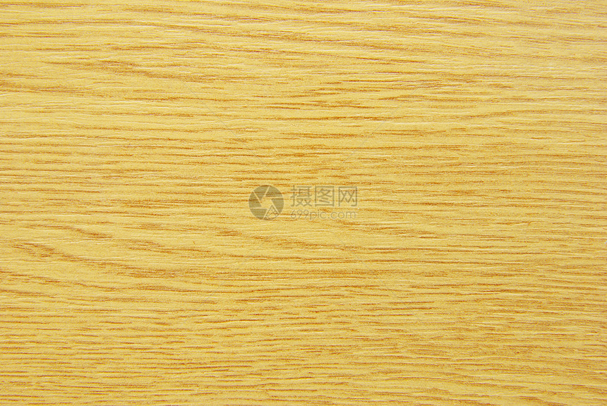 树木背景背景木地板木材木头材料图片