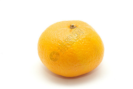 橘红色水果食物橙子白色背景图片