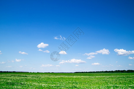 字段天空场地天气风景乡村阳光季节农场牧场地平线背景图片