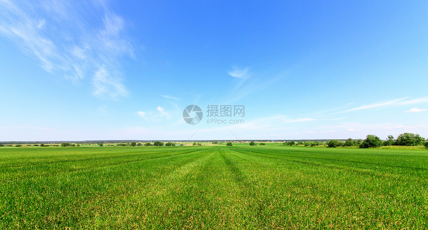 夏季草地村庄地形天空季节牧场农场地平线植物国家农业图片
