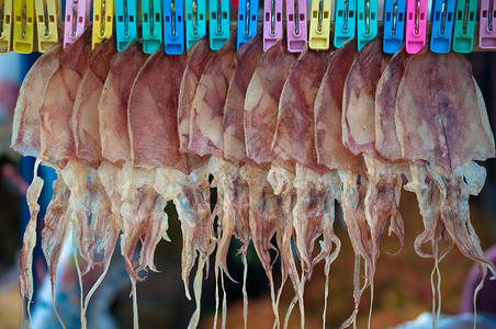 干鱿鱼椰子奶油棕榈食物水果章鱼港口乌贼植物海鲜高清图片