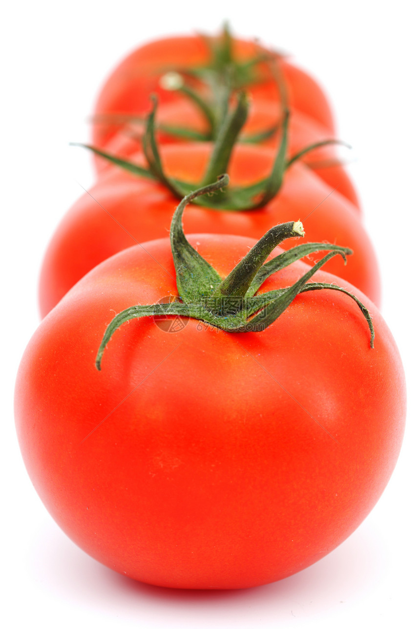 白色背景上孤立的西红柿营养农业花园食物宏观植物美食蔬菜阴影水果图片