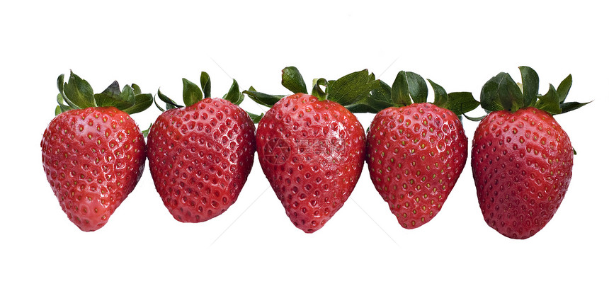 对抗蓝天的健康的有机草莓活力叶子食物浆果花园水果宏观甜点种子团体图片