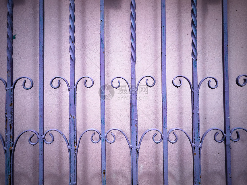 紫花织铁栅栏图片