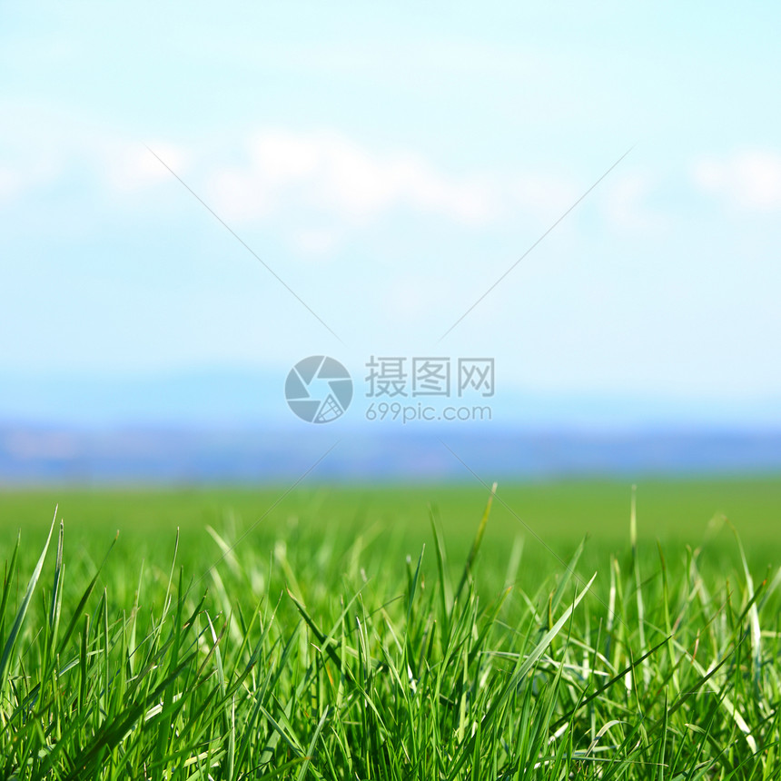 绿绿草远景地平线天气草地地球场景农场阳光土地射线图片