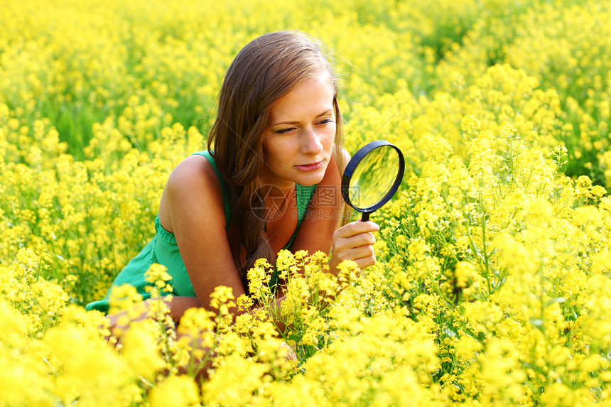 植物学家太阳乐趣眼睛放大镜玻璃喜悦花朵自由草地镜片图片