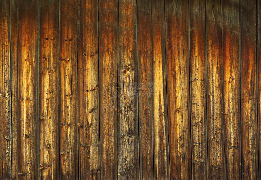 树木背景背景棕色桌子木地板木材材料样本硬木宏观木头控制板图片