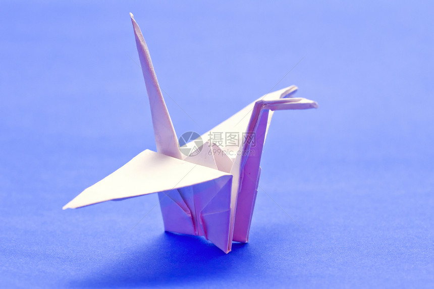 纸鸟折纸鸽子笔记爱好动物蓝色翅膀墙纸卡片艺术图片