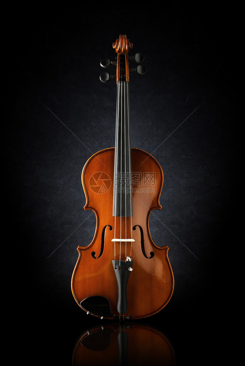 小提琴的前视图图片