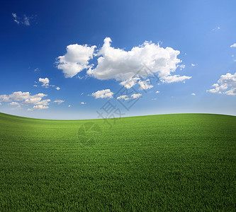 绿草和凉凉的蓝天空地平线气候操场面积足球场季节爬坡草地摄影偏光片背景图片