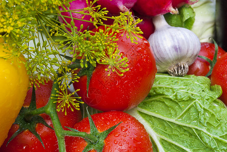 蔬菜类食物团体茄子辣椒胡椒草药香菜水果土豆美食高清图片