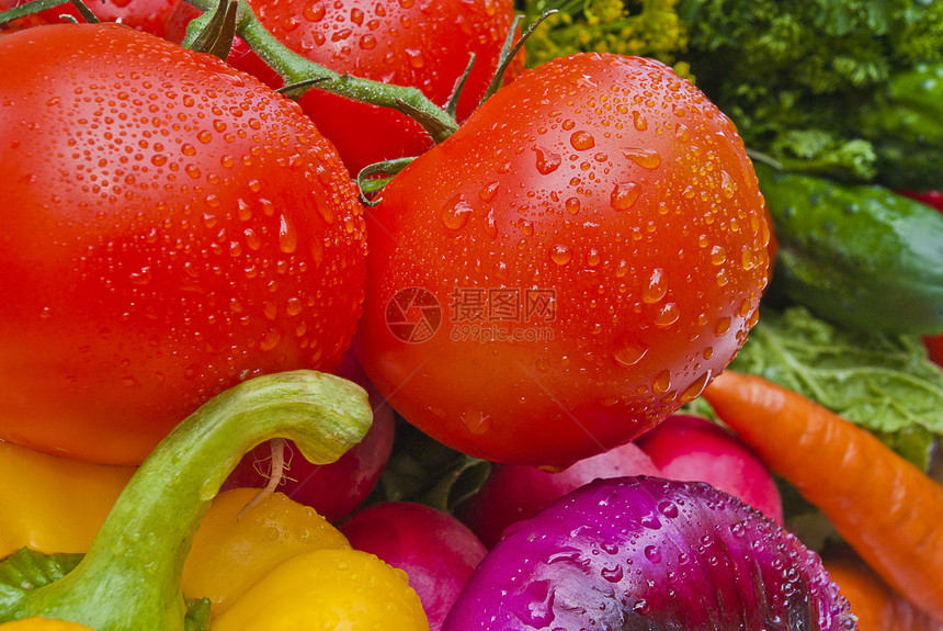 蔬菜类美食水果黄瓜工作室辣椒食物沙拉萝卜叶子香菜图片