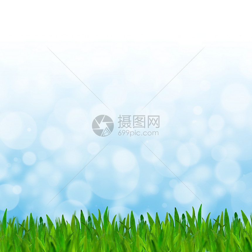 蓝调摘要bokeh背景和绿草叶子季节场地花园环境植物群植物学雨滴草地生长图片