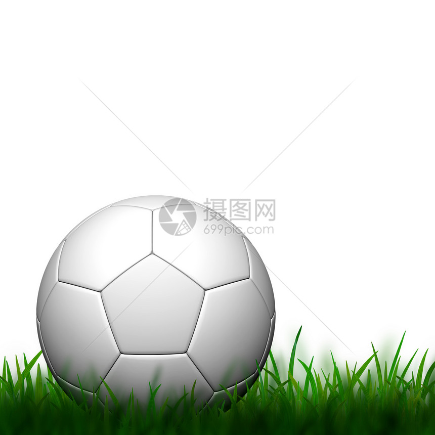 白色背景的绿色草地上的3D足球图片