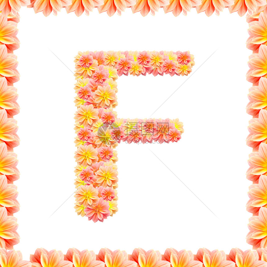 F 以火焰在白色上孤立的花形字母法图片