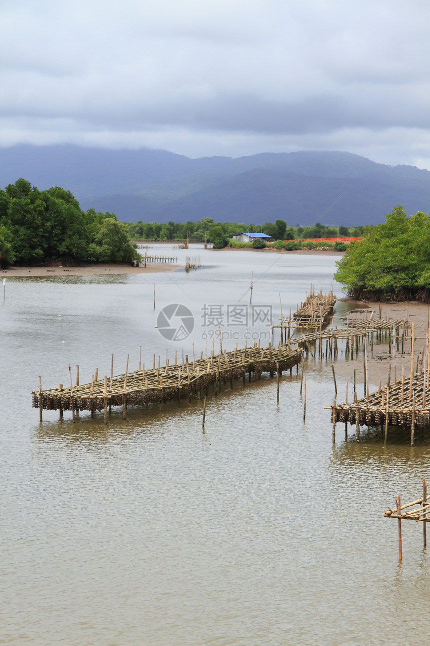 泰国壳鱼养殖场旅行海景风景渔业海洋牡蛎航海热带入口漂浮图片