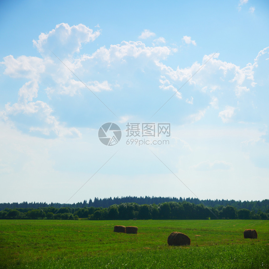 绿绿地土地天气场景国家蓝色地平线环境季节农场天空图片