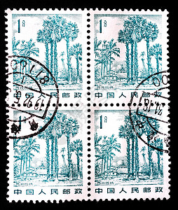 中国邮票中国-中国CIRCA 1982年 中国印刷的一张印章展示了西广巴纳的地貌 1982年circa背景
