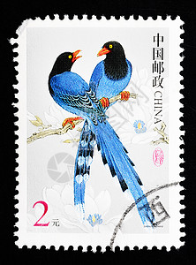 鸟形印章中国 - CIRCA 2002 中国印刷的一幅印章展示了两只蓝鸟的形象 2002年circa背景