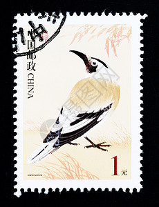 中国 — CIRCA 2002 中国印制的邮票显示一只野鸟的图像 大约 2002 年背景图片