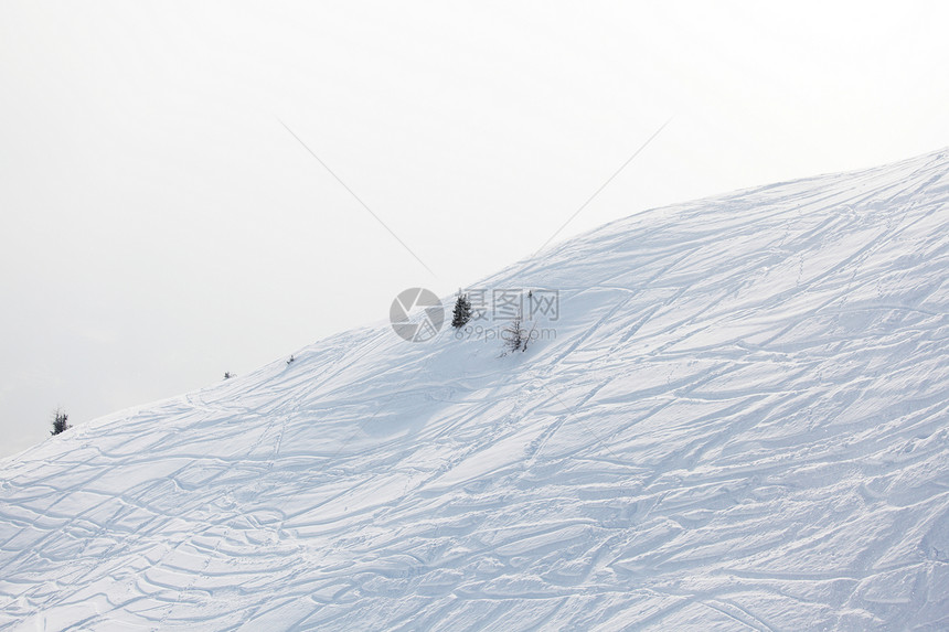 雪上滑雪痕迹娱乐蓝色森林云杉路线运动探索冻结国家曲线图片