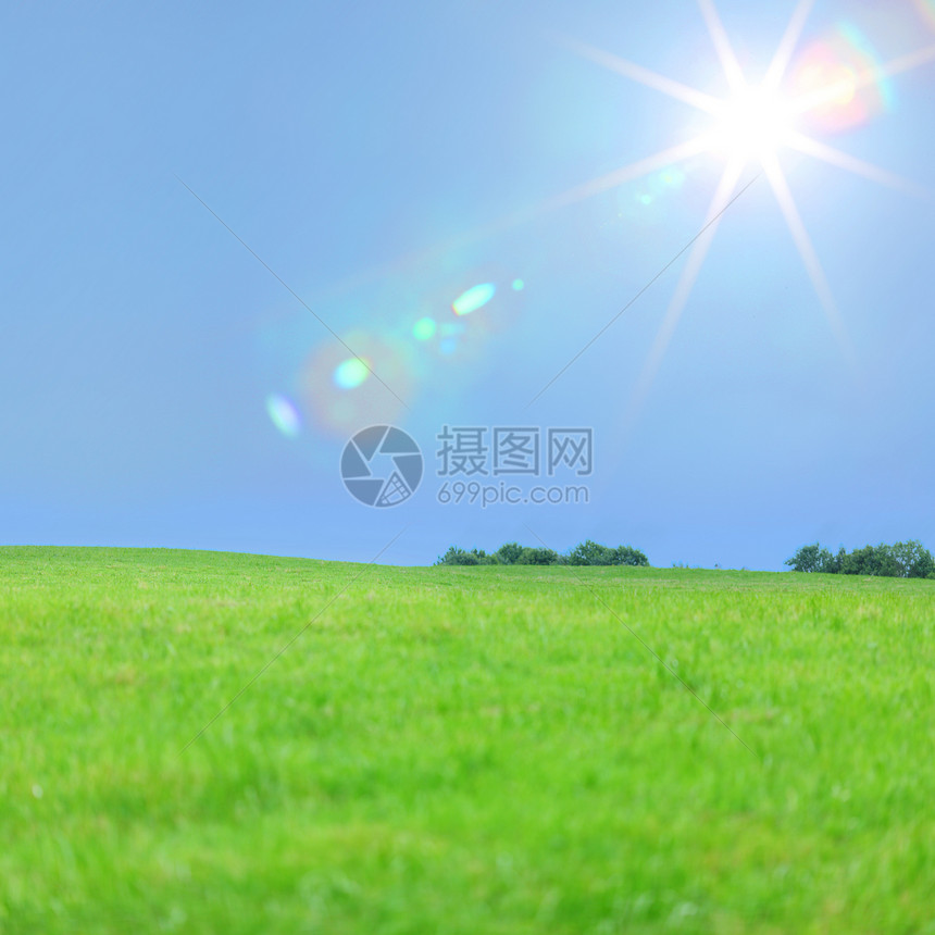 绿绿草植物地球场景土地地平线季节环境天空阳光牧场图片