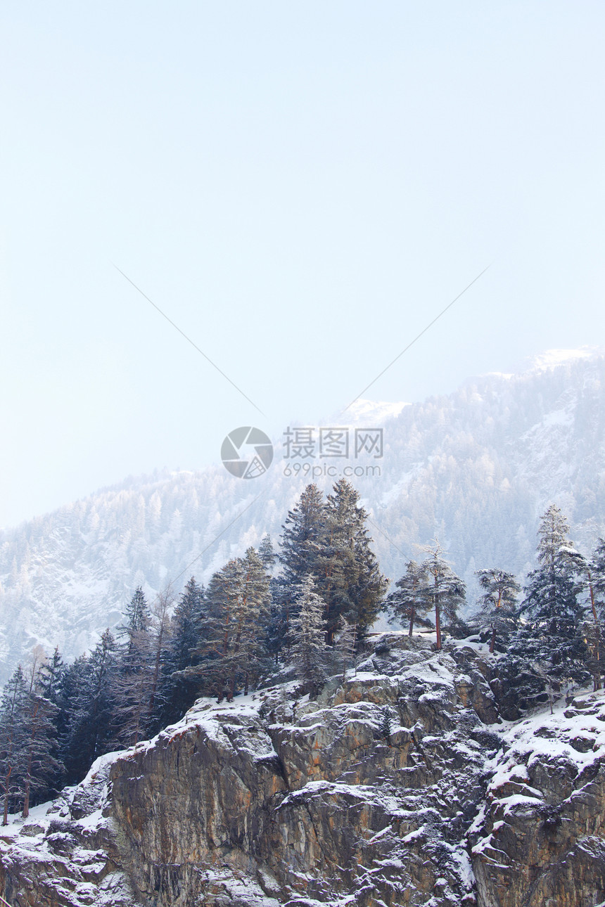 下雪树上蓝色降雪旅行假期木头高地全景暴风雪环境季节图片