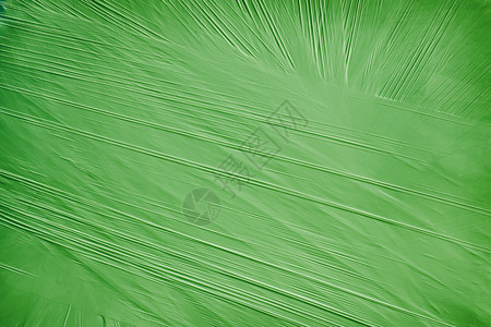 包装材料的绿绿色背景包装合成空白织物波纹折痕组织材料窗帘皱纹背景图片