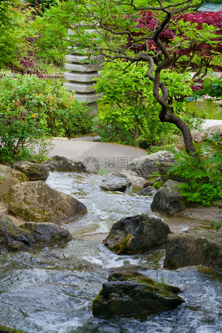 水瀑太阳环境摄影运动岩石苔藓池塘植物石头花园图片