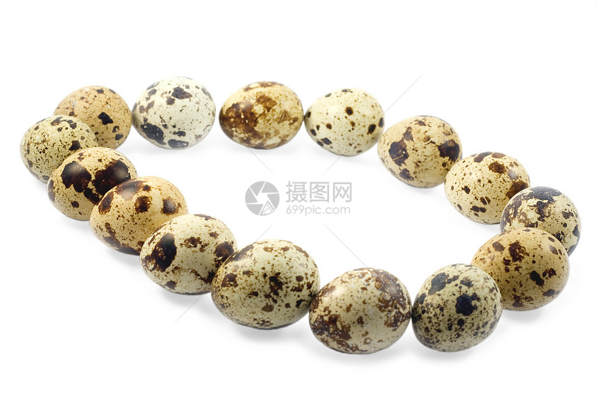 蛋白色鸽子棕色椭圆家禽母鸡生活动物颜料食物图片