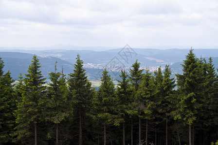 瓦伦特登山高山草甸高清图片