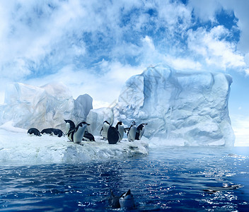 浮冰上企鹅浮冰上的企鹅浮冰团体季节蓝色家庭野生动物天空探险家鸟类半球背景