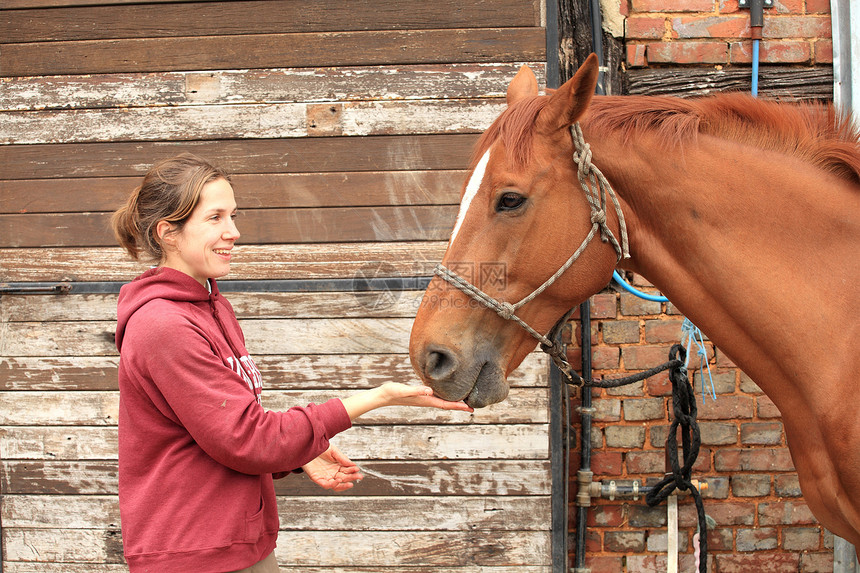 美丽的女人给她的马一个苹果女孩场地食物微笑小吃栅栏动物哺乳动物农场头发图片