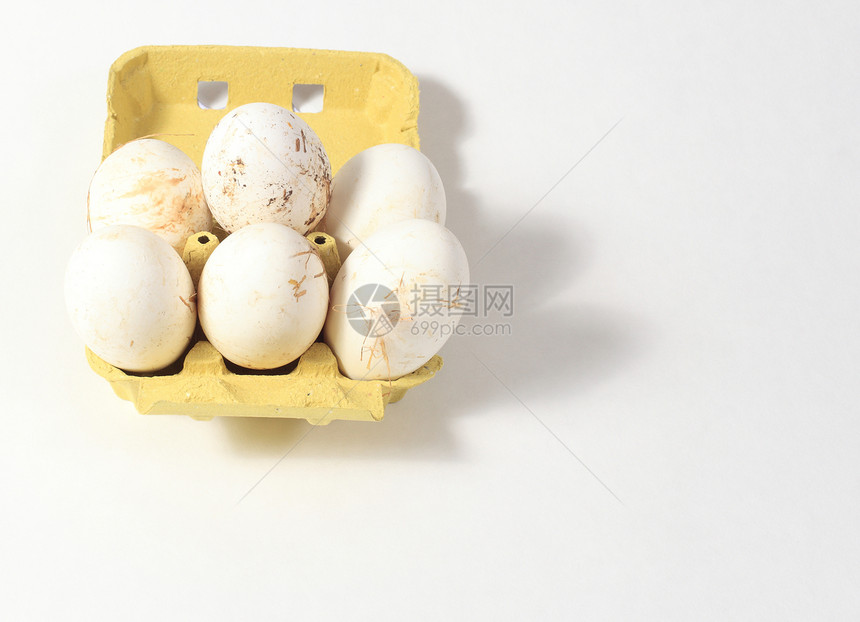 白本种生物养殖场的鹅蛋生物学圆形美食食物白色野鸡脆弱性团体蛋糕动物图片