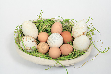 鸡蛋和鹅肉混合在篮子中营养野鸡蛋糕工作室脆弱性生物学动物农业食物生活背景图片