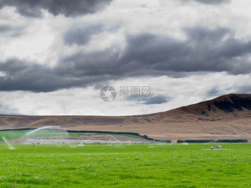 Otago NZ中区灌溉的平地牧场农场奶牛山麓农田家畜洒水器畜牧业配种农业山脉图片