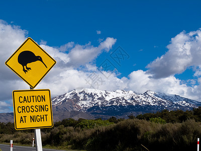 鲁阿佩胡Kiwi交叉路牌和NZ的Ruapehu火山平胸无翼鸟公园国家钻石菱形指示牌路标陨石雪帽背景