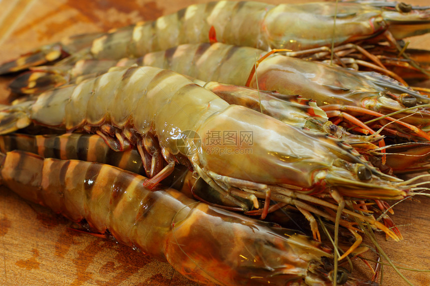 大老虎新鲜虾 王龙虾 大虾黑色白色蓝色团体贝类食物甲壳绿色动物老虎图片