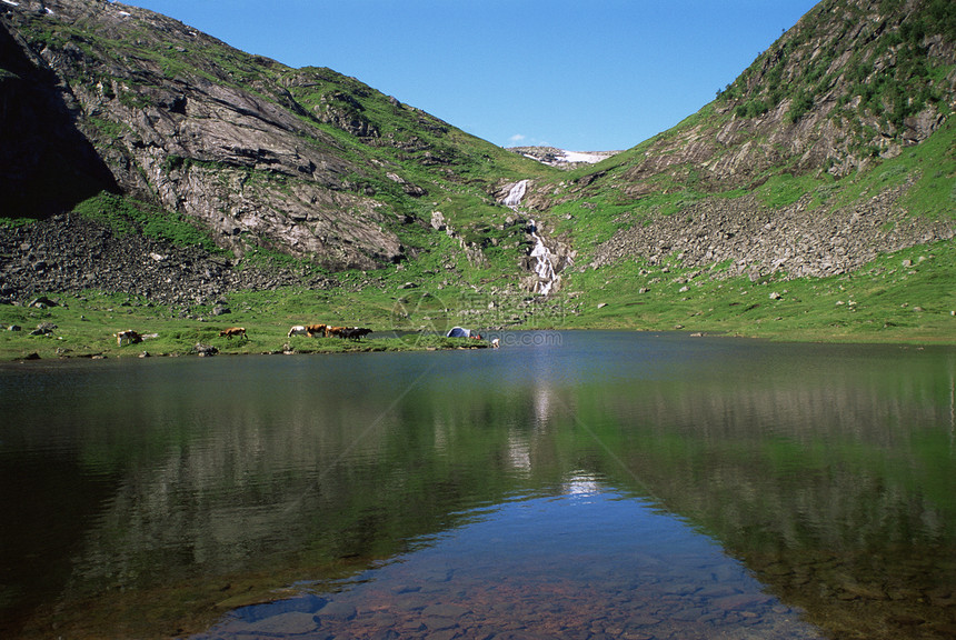 远处有奶牛和露营地的湖营地风景山脉丘陵方式旅行爬坡水平帐篷岩石图片