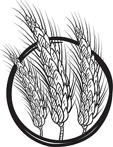 小麦胚芽小麦或谷物标志物矢量草图插画