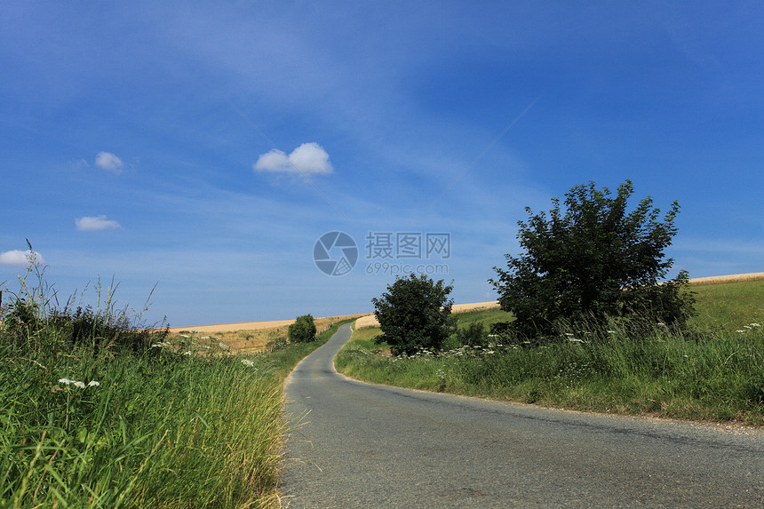 夏天在阳光下 在乡间的道路中图片