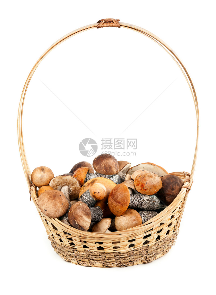 带蘑菇的篮子采摘柳条季节棕色食物白色图片