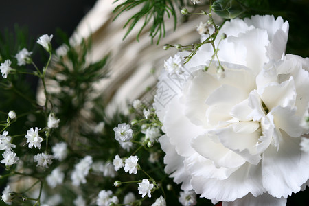 圆花束白色宏观婚礼背景图片
