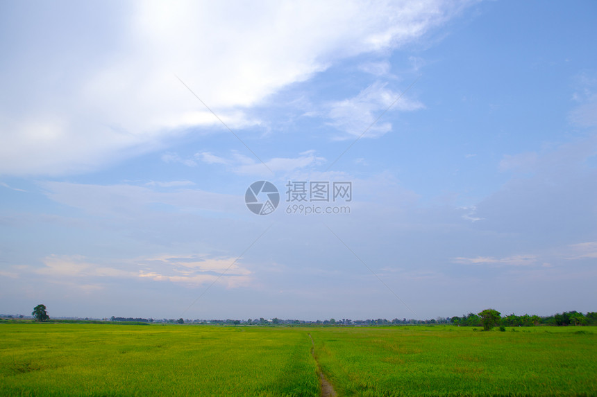 天空的飞地牧场天气阳光环境蓝色生长场地农村天堂农场图片