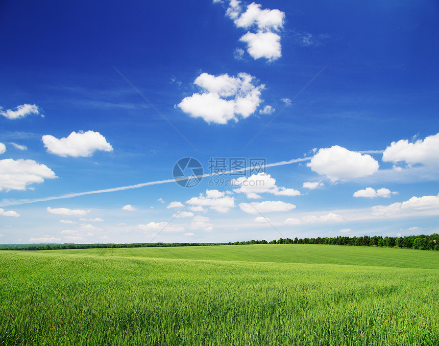 字段天空地平线土地牧场全景天气植物远景乡村风景图片